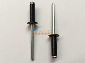 彩色拉釘定制 好用的彩色拉釘東莞固豐供應